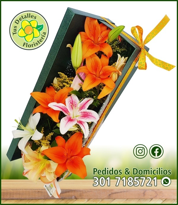 Caja # 11 UU-MM / $100.000