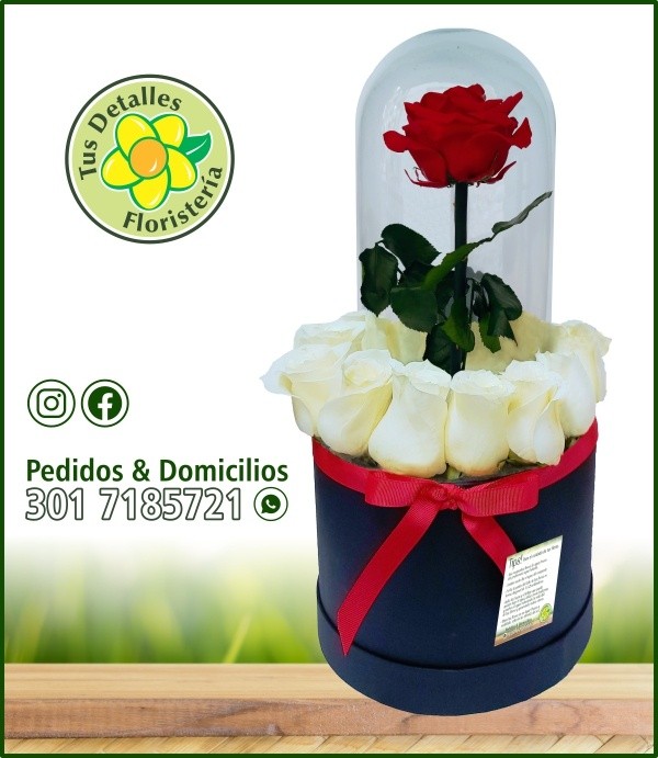 Caja # 38 UU-MI / $225.000